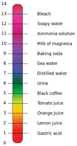 https://en.wikipedia.org/wiki/File:PH\_Scale.svg